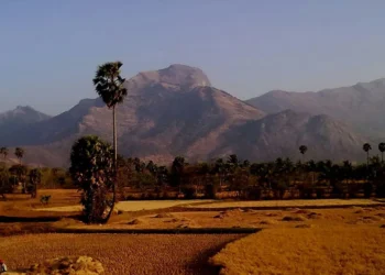 mansoon