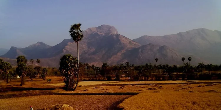 कमज़ोर मानसून के बीच भारत की कृषि तैयारी बनी बड़ी ताकत