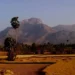 कमज़ोर मानसून के बीच भारत की कृषि तैयारी बनी बड़ी ताकत