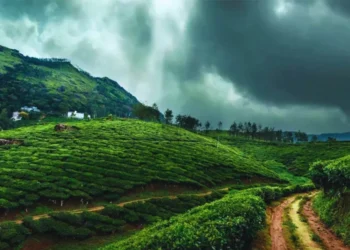 monsoon