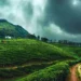 monsoon