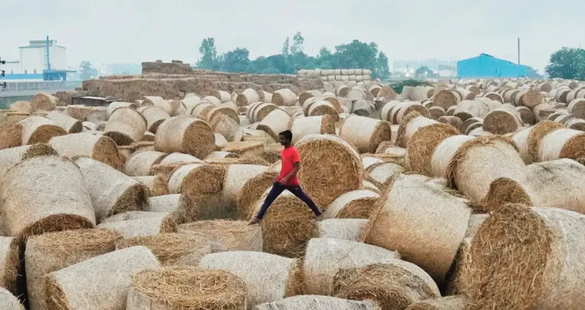 हरियाणा पराली योजना 2026: किसानों को ₹1200 प्रति एकड़