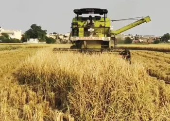 हरियाणा पराली योजना 2026: किसानों को ₹1200 प्रति एकड़