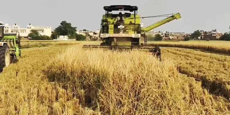 हरियाणा पराली योजना 2026: किसानों को ₹1200 प्रति एकड़