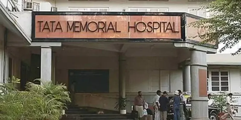 पपीते के पत्ते का अर्क बढ़ाता है प्लेटलेट्स? टाटा हॉस्पिटल की स्टडी पर उठे सवाल