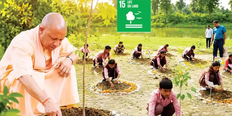 'एक पेड़ मां के नाम' मिशन बना मिसाल, एक दिन में लगाए 35 करोड़ पौधे