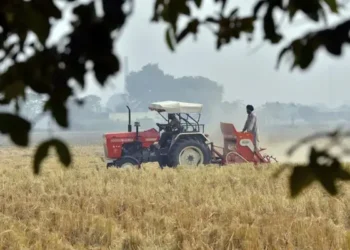 गेहूँ के आटा-मैदा निर्यात से हटी रोक, किसानों और मंडी भाव पर क्या होगा असर?