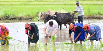 farmer