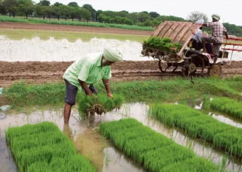 गोबरधन योजना 2026: 23,731 करोड़ का बजट, 10 साल तक तय CBG कीमत और गांवों को बड़ा फायदा