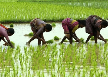 पीएम-किसान अब 2031 तक चलेगी