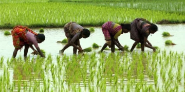 पीएम-किसान अब 2031 तक चलेगी