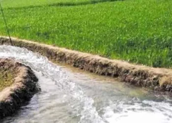 Smart Irrigation: झारखंड के किसान खेतों में सुरंग बनाकर कर रहे सिंचाई, बिना पाइप के 10 एकड़ में पहुंचता है पानी