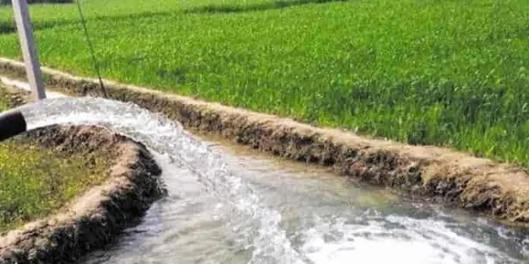 Smart Irrigation: झारखंड के किसान खेतों में सुरंग बनाकर कर रहे सिंचाई, बिना पाइप के 10 एकड़ में पहुंचता है पानी