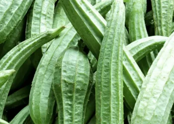 Torai Farming
