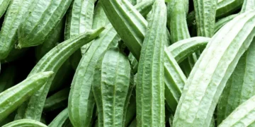 Torai Farming