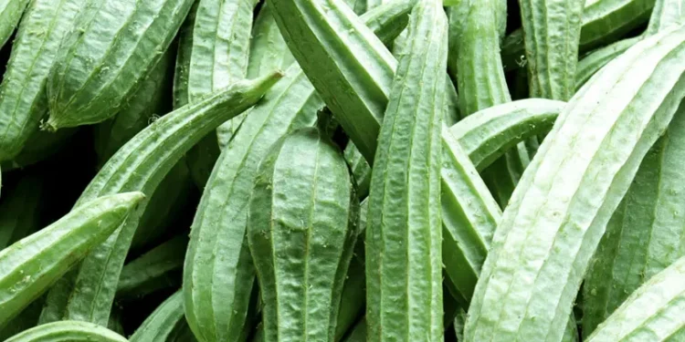 Torai Farming