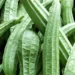 Torai Farming