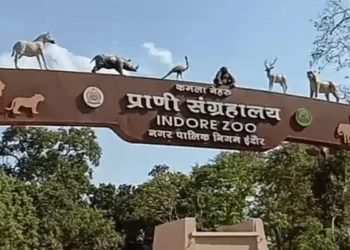 इंदौर में देश का पहला वर्चुअल ज़ू, 14-डी सिनेमा शुरू