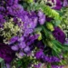 flower bouquet