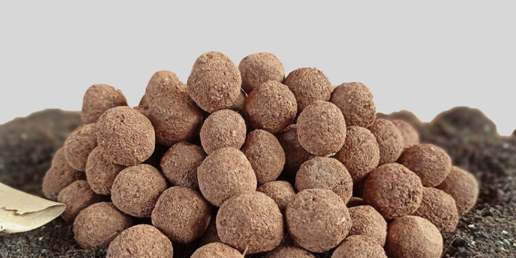 गोबर सीड बॉल